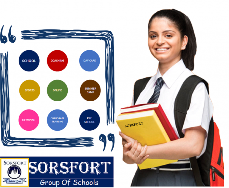 Sorsfort International School Programs